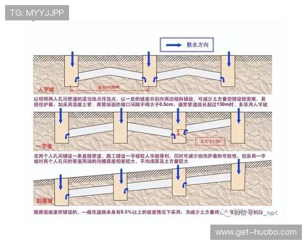 体育建设项目管理中的常见问题及其有效解决策略全面解析